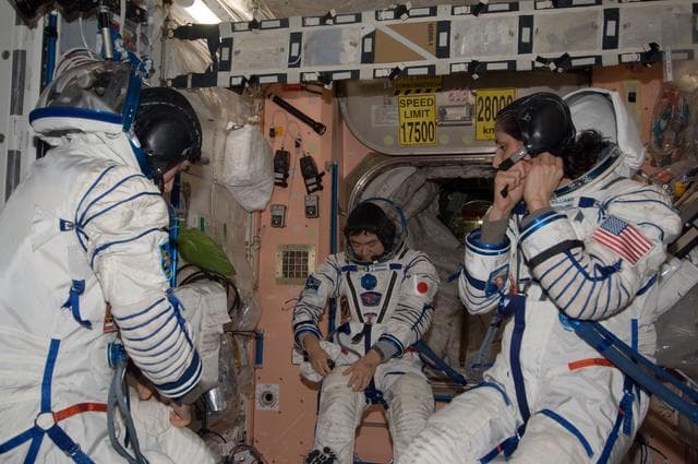 NASA image: Sokal fit check