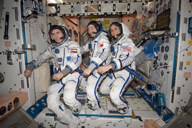 NASA image: Sokal fit check