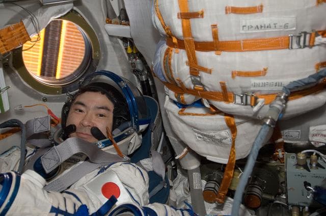 NASA image: Sokal fit check