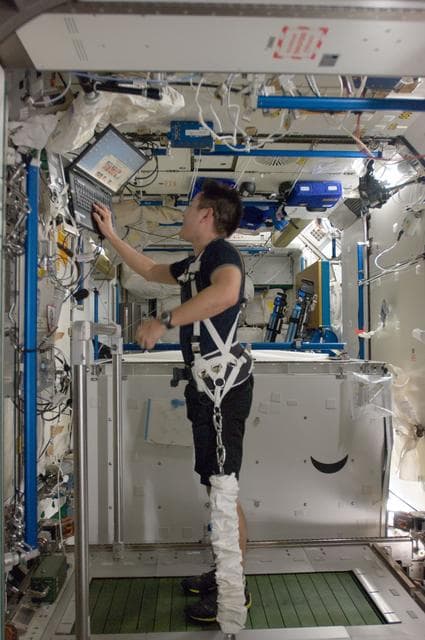 NASA image: Hoshide exercises on COLBERT in Node 3