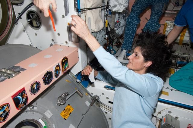 NASA image: Williams adds patch to collection in Node 1