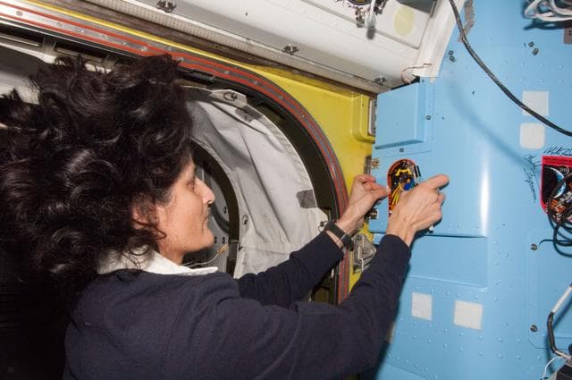 NASA image: Williams in Airlock