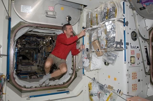 NASA image: Hadfield poses with stowed food packets