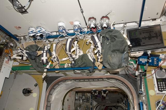 NASA image: Avionic Rack 2 Closeout Panel