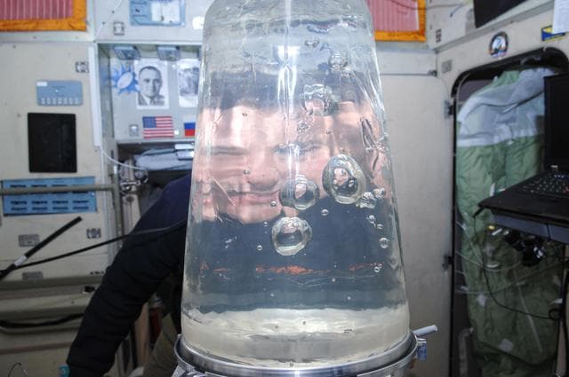 NASA image: Romanenko looks through a Rodnik Tank in the SM