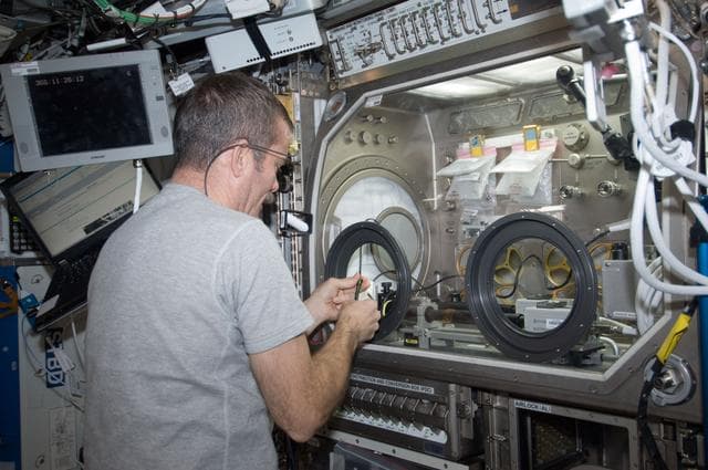 NASA image: Hadfield works with the InSPACE expeirment