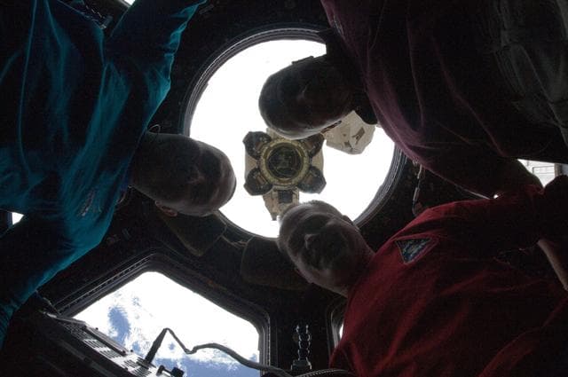 NASA image: Expedition 34 Crewmembers in the Cupola Module
