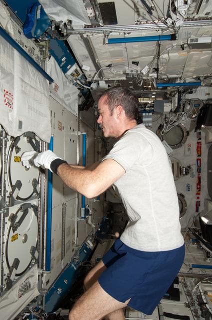 NASA image: Hadfield prepares to insert biological samples in the MELFI-1