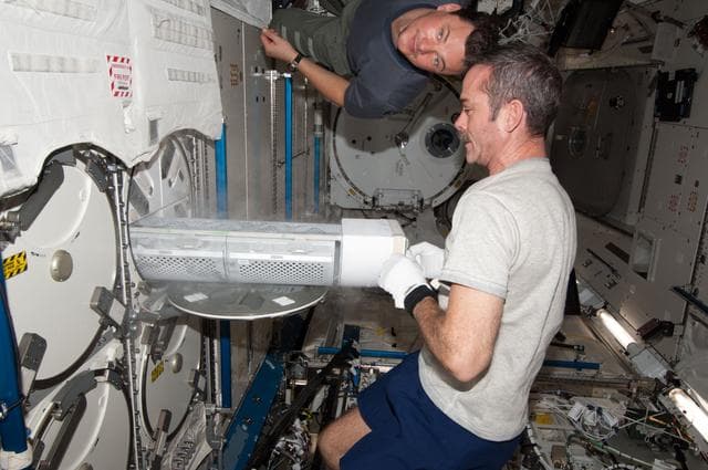 NASA image: Hadfield prepares to insert biological samples in the MELFI-1