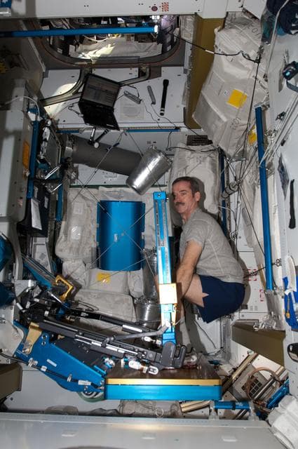 NASA image: Hadfield exercises on the ARED in the Node 3