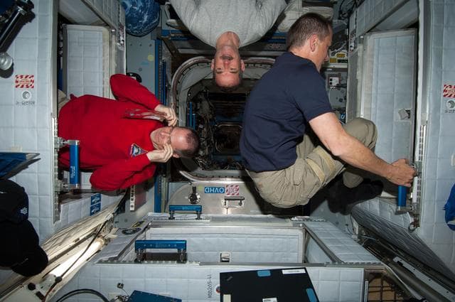 NASA image: Ford, Marshburn, and Hadfield in the Node 2
