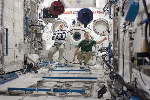 NASA image: Ford and Marshburn conducts a session of the SPHERES ZR