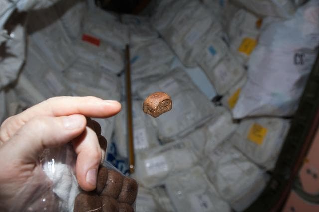 Miniature bread floating in the Node 1