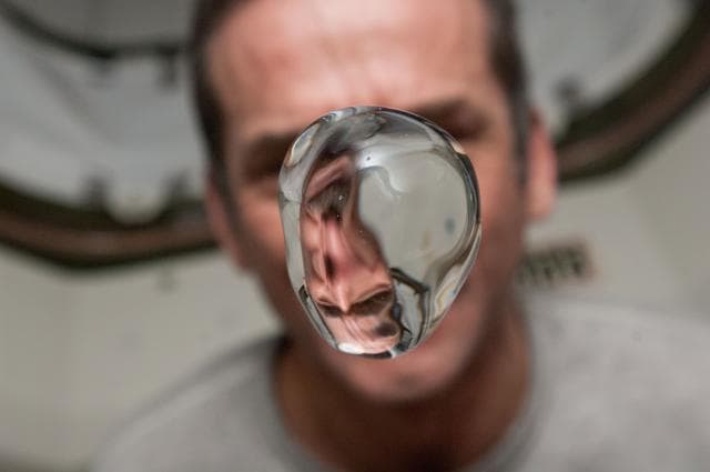 NASA image: Hadfield watches a water bubble float in the Node 1