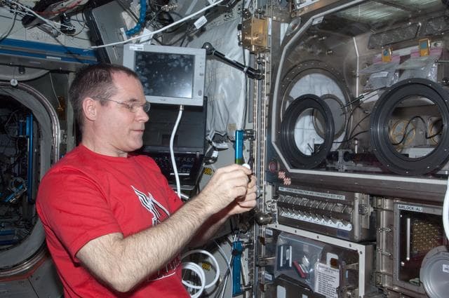 NASA image: Ford works with the InSpace-3 Hardware in the U.S. Laboratory