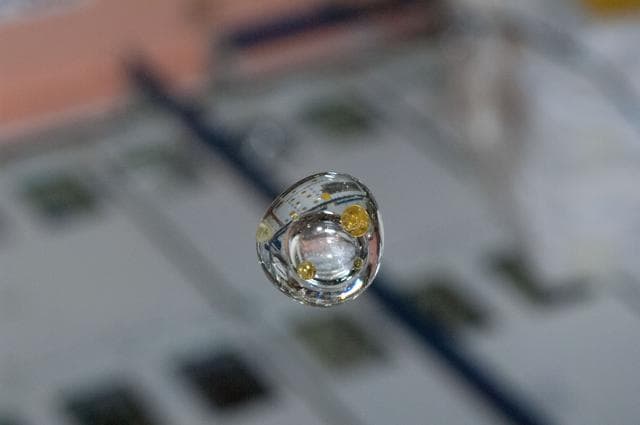 NASA image: Air and Pepper Oil Experiment