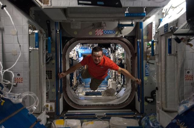 NASA image: iss034e052586
