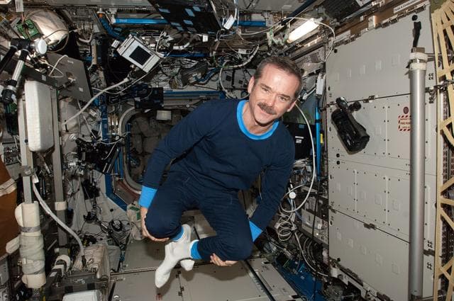 NASA image: iss034e052750