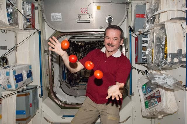 NASA image: iss034e062051