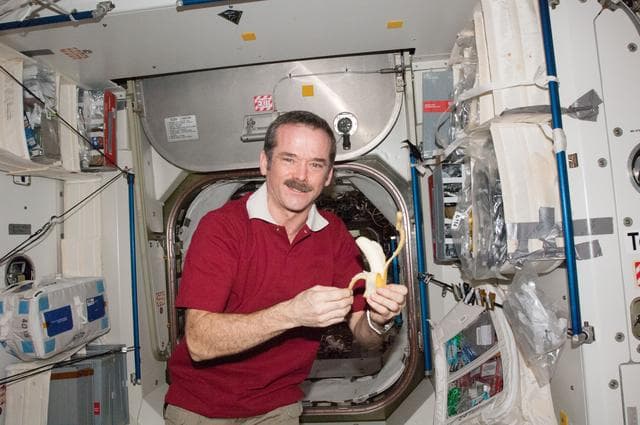 iss034e062076