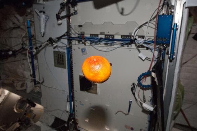 NASA image: iss034e062131