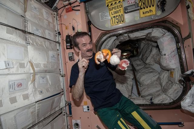 NASA image: Hadfield in Node 1
