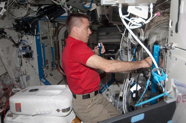 NASA image: Cassidy conducts BASS Flame Test