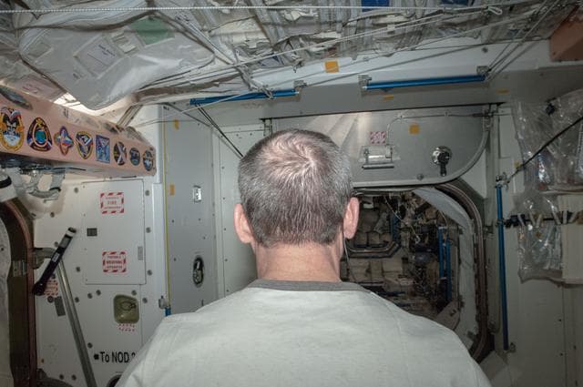 NASA image: Hadfield after a Haircut in Node 1