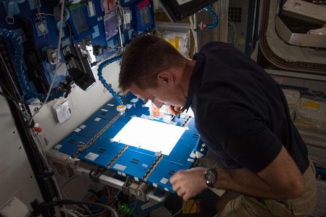 NASA image: Cassidy during CFE-2 VG1 Experiment Operations