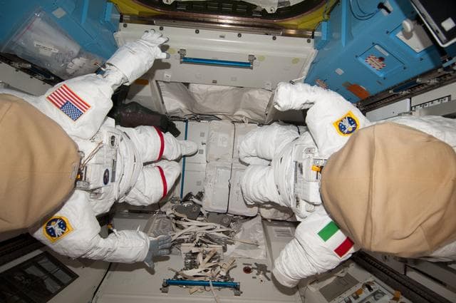 NASA image: Stowed EMUs in A/L