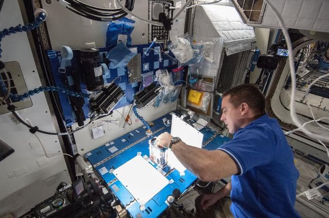 NASA image: Capillary Flow Experiment in Node 2