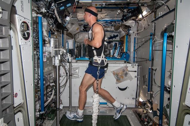 NASA image: Parmitano in Node 3