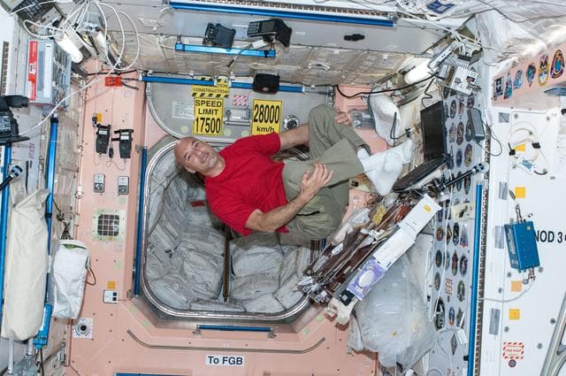 NASA image: Parmitano in the Node 1 module