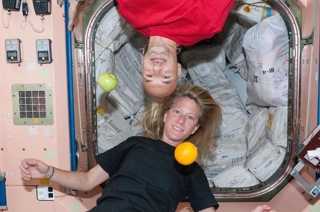 NASA image: Nyberg and Parmitano in the Node 1 module
