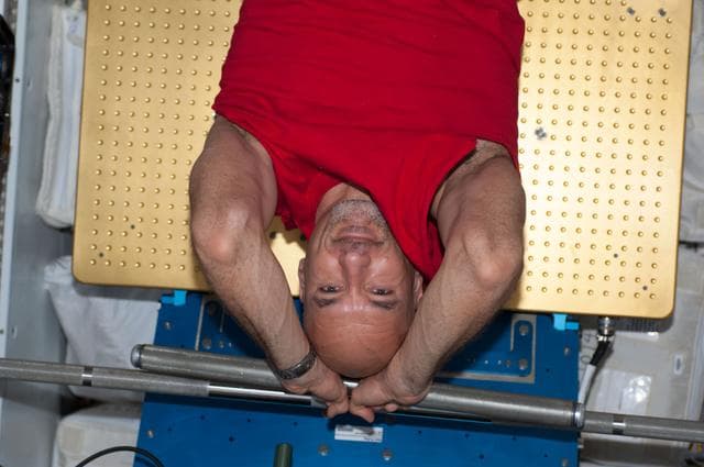 NASA image: Parmitano in Node 3