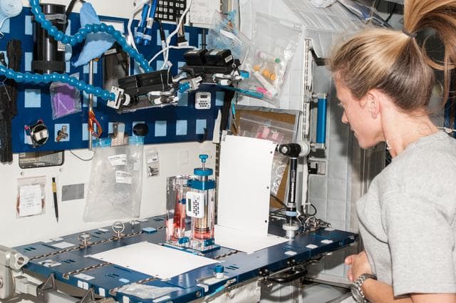 NASA image: Capillary Flow Experiment in Node 2