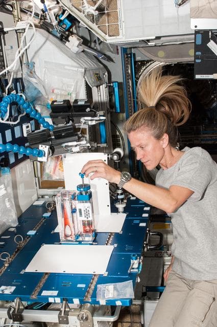 NASA image: Capillary Flow Experiment in Node 2