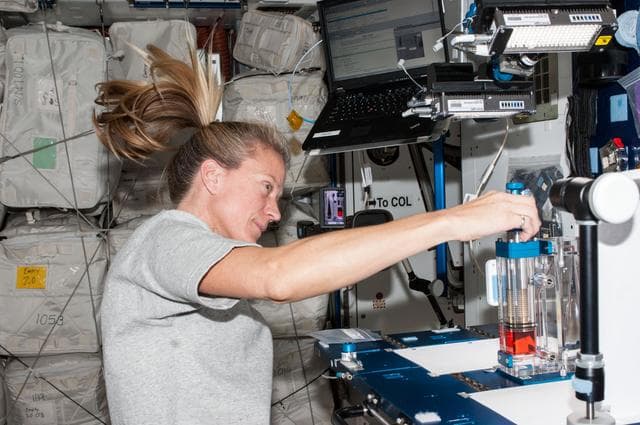 NASA image: Capillary Flow Experiment in Node 2