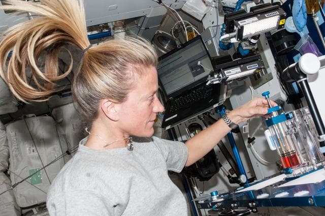 NASA image: Capillary Flow Experiment in Node 2