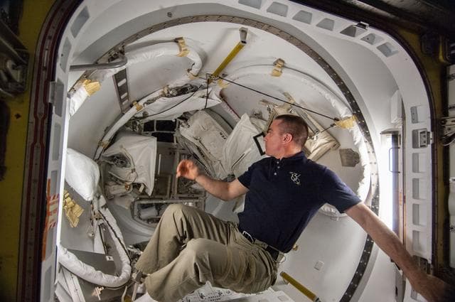 NASA image: Cassidy in Airlock