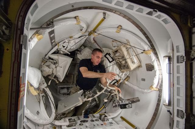 NASA image: Cassidy in Airlock