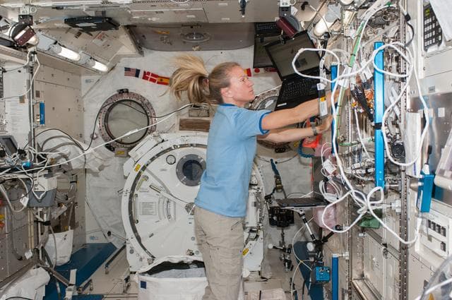 NASA image: Nyberg working in JEM