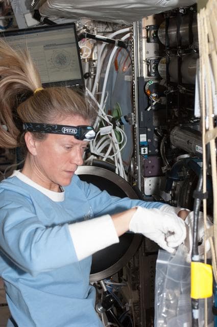 NASA image: CIR MDCA IFM
