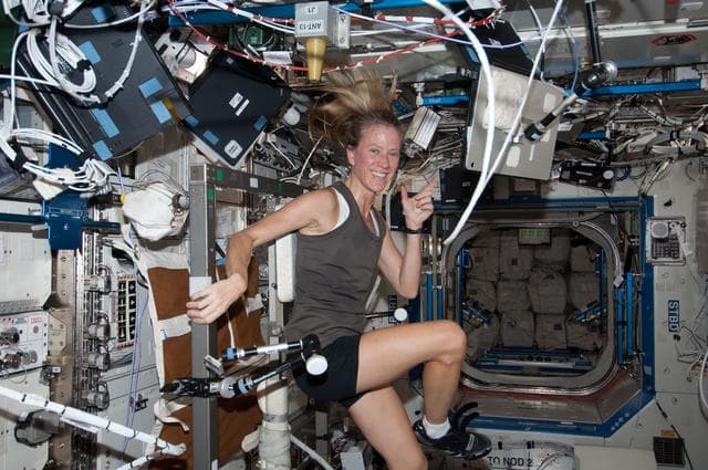 NASA image: Photos taken inside ISS during EVA day