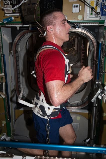 NASA image: Cassity on T2 in Node 3 module
