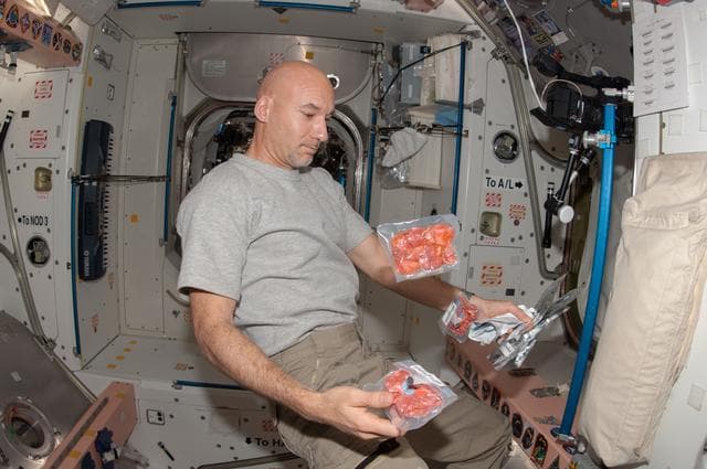 NASA image: Parmitano with food packets in Node 1