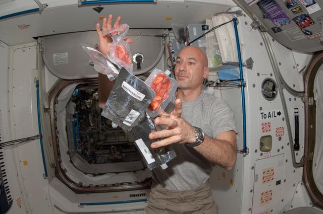 NASA image: Parmitano with food packets in Node 1