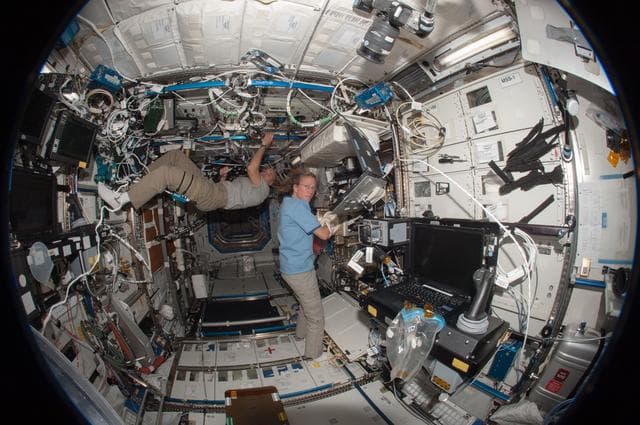 NASA image: Nyberg and Parmitano in U.S. Laboratory
