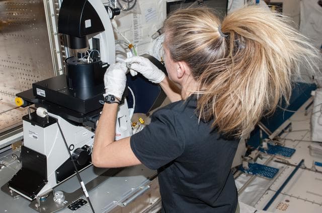 NASA image: Nyberg in JEM (Kibo) with MSPR fluorescence microscope.