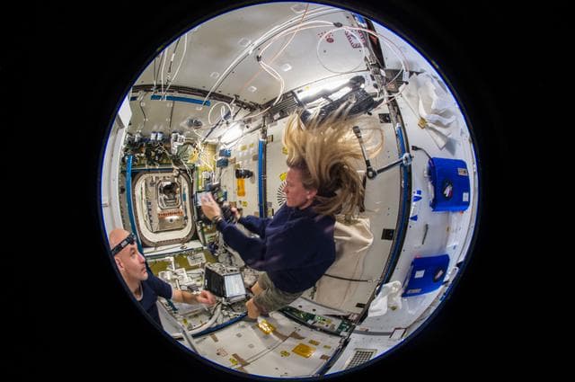 NASA image: Fisheye (wide lens) view from Cupola